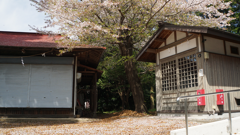 下溝八幡宮（相模原市南区下溝）