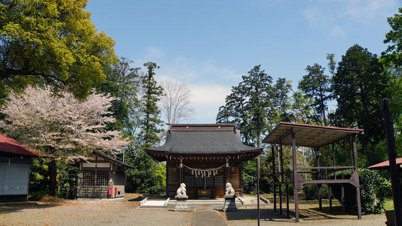 下溝八幡宮（相模原市南区下溝）