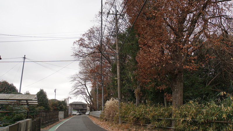 下溝八幡宮（相模原市南区下溝）