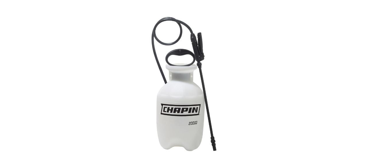 Chapin 20000 1-Gallon Lawn and Garden Pump Pressured Sprayer
