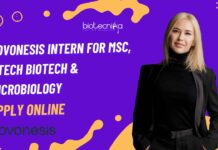 Novonesis Intern Vacancies For MSc, MTech Biotech & Microbiology, Apply Online