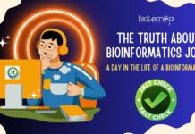 What Bioinformatics Jobs Are Really Like?