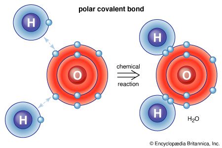 water molecule