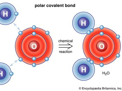 polar covalent bond