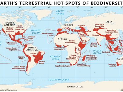 terrestrial hot spots of biodiversity