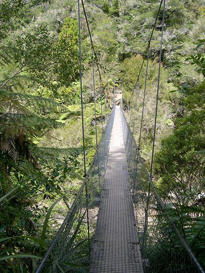 Abel Tasman National Park