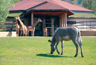 Moscow Zoo