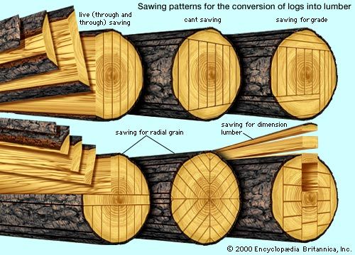 diagram of basic log-sawing patterns