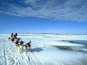 dogsledding across Great Slave Lake