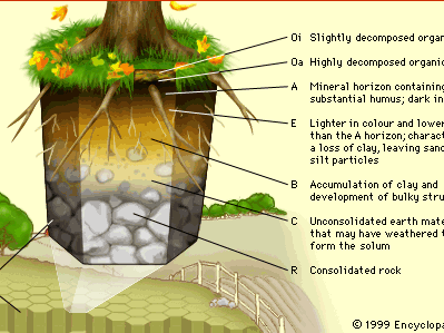 soil profile