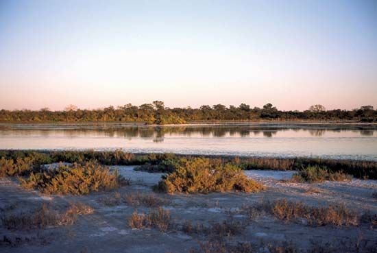 Salt marshes in the Gran Chaco region of Paraguay.