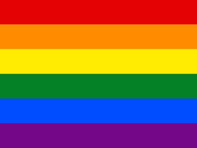 LGBTQ+ Pride Flag