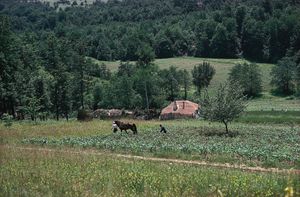 Šumadija, Serbia