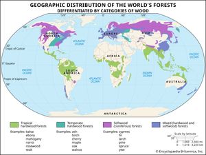 Geographic distribution of the world's forests by categories of wood