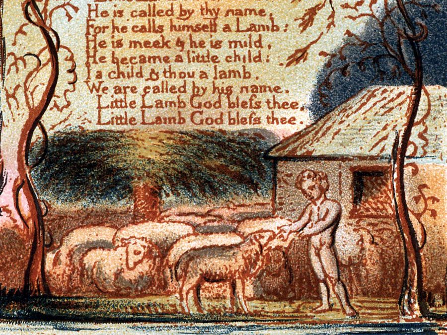 Illustration of "The Lamb" from "Songs of Innocence" by William Blake, 1879. poem; poetry