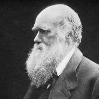 Charles Darwin, carbon print photograph by Julia Margaret Cameron, 1868.