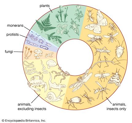 Earth's known living species