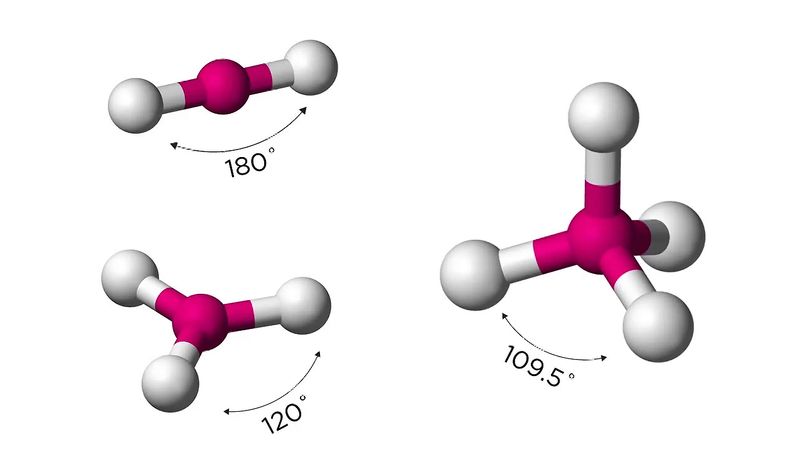 Why is carbon called the element of life?