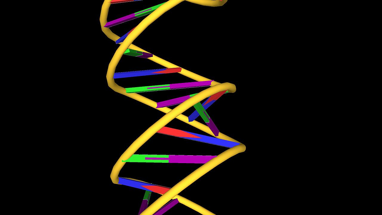 DNA