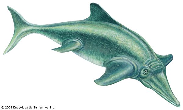 Ichthyosaurus