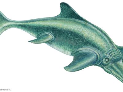 Ichthyosaurus