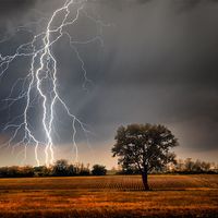 Lightning over a farm field. Weather electricity thunderstorm light energy tree