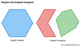 regular and irregular hexagons