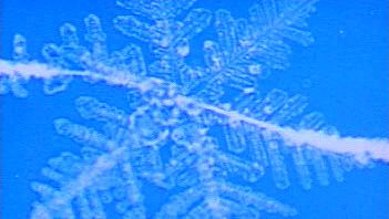 Witness snowflake crystals created in a laboratory environment