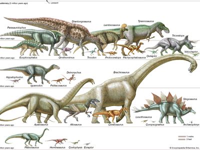 dinosaurs to scale