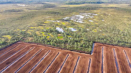 peat extraction