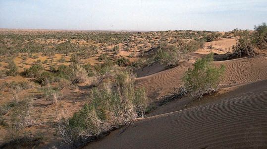 Karakum Desert, Turkmenistan