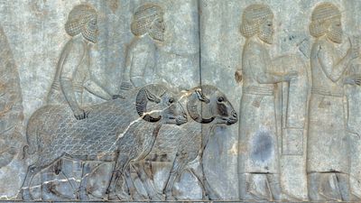 The rise and fall of ancient Mesopotamia