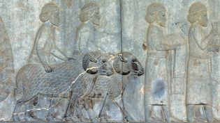 The rise and fall of ancient Mesopotamia