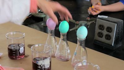 The science behind dyeing Easter eggs