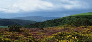 Exmoor National Park, West Somerset, England