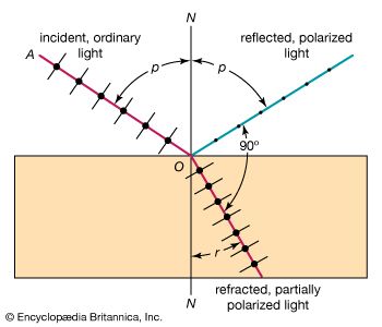 Brewster's law