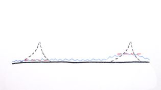 Understand the concept of sea level and how it is determined by applying variations in Earth's gravitational field