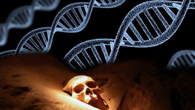 Finding prehistoric family ties with modern DNA