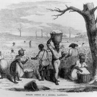 Picking cotton on a Georgia plantation, 1858. Illustration published in Ballou's Pictorial, v. 14, 1858, p. 49. African Americans; Black Americans; cotton pickers; slavery; slaves; enslavement; Georgia