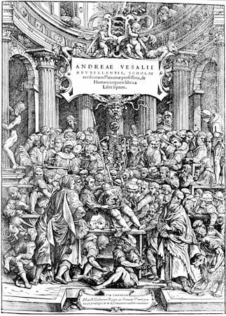 Vesalius, Andreas; anatomy