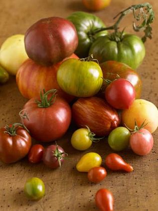 heirloom tomato