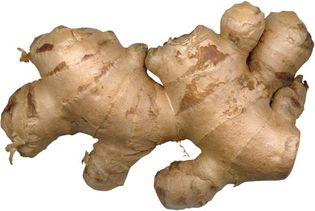 Ginger rhizome