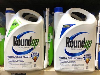 Roundup; glyphosate