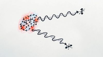 Understand how the polarization of the light from cosmic background radiation influenced the early development of the universe