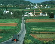 Amish horse and buggy