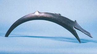 shofar