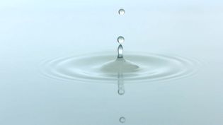 How does surface tension shape a water drop?