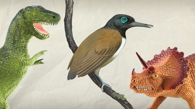 The video thumbnail image shows an illustration of the bird dinosaur Longipteryx alongside two toy dinosaur figurines.