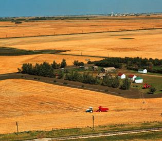 Farm in Saskatchewan