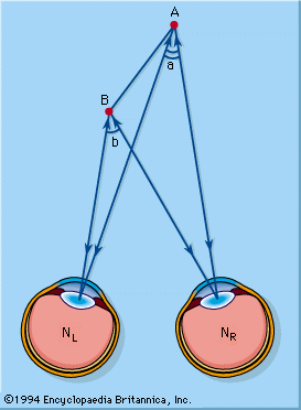 binocular and instantaneous parallax